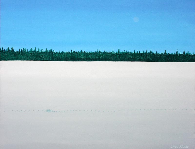 wolf tracks snow and blue sky usa winter landscape