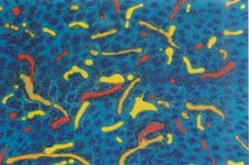 swimmers abstract underwater seascape painting