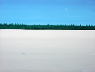 wolf tracks snow and blue sky usa winter landscape